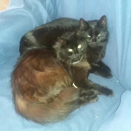 Lantgård Haus Sagmeister Steinfeld