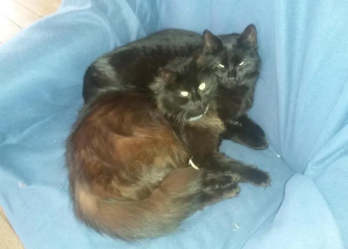 Séjour à la ferme Haus Sagmeister Steinfeld